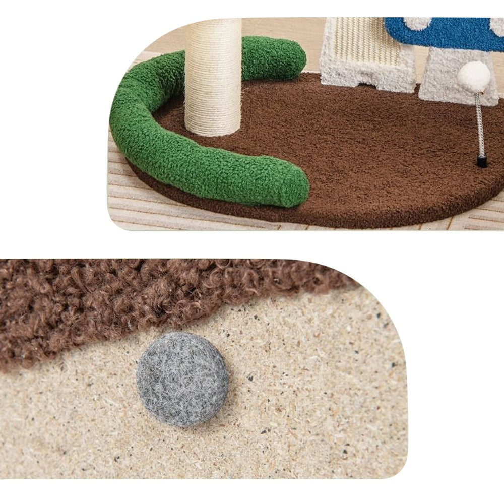 Macska mászóka gomba