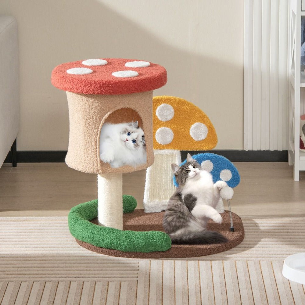 Macska mászóka gomba