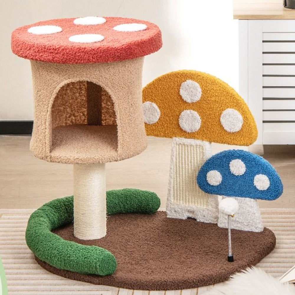 Macska mászóka gomba